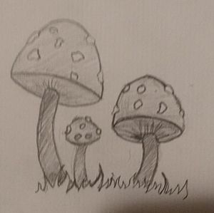 Meet your Posher, Salted